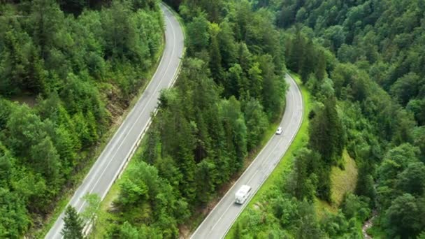 Strada di montagna o serpentina curva nella foresta con traffico di auto e alberi ad alto verde. Veduta aerea di incredibili alberi di pino e fogliame — Video Stock