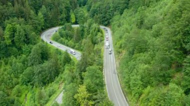 Dağ yolu ya da ormandaki kıvrımlı yılan sürüsü trafik ve yüksek yeşil ağaçlar. İnanılmaz çam ağaçlarının ve yaprakların havadan görünüşü