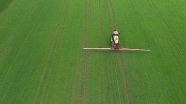 Aerial view of farming tractor plowing and spraying green wheat field. Protection of crop with applying of pesticides, herbicides or insecticides — Stock Video