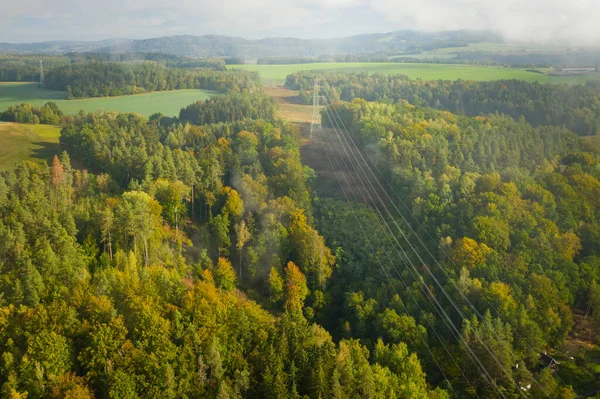Aerial view of the high voltage power lines and high voltage electric transmission on the terrain surrounded by trees at sunlight