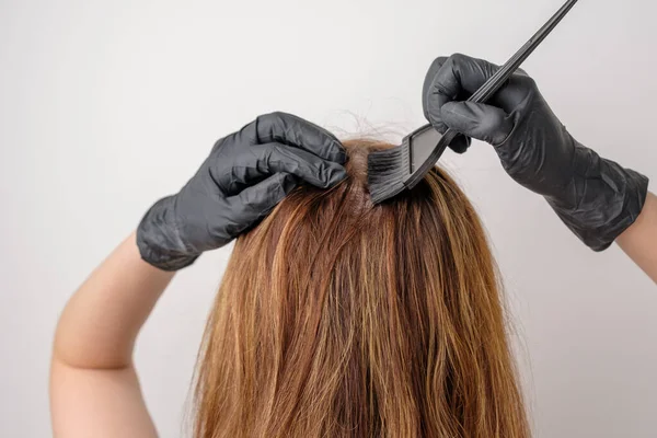 Woman dyeing hair roots using a brush. Dyeing of gray roots of hair having a complex hair coloring or balayage at home.