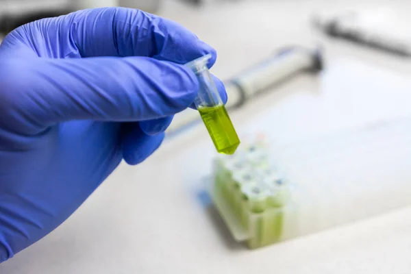 Κοντινό μέχρι τα χέρια σε μπλε γάντια κρατήστε το microtube με πράσινο υγρό εκχύλισμα. Σύνθεση νέου εμβολίου ή φαρμάκου κατά του ιού. — Φωτογραφία Αρχείου