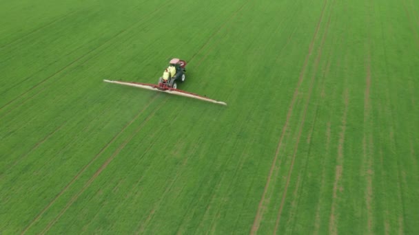 Vista aérea del tractor agrícola arando y rociando el campo de trigo verde. Protección de cultivos mediante la aplicación de plaguicidas, herbicidas o insecticidas — Vídeo de stock