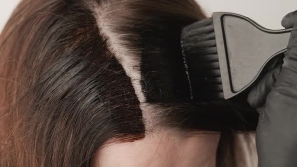 Mujer colorear raíces de pelo gris usando un cepillo. Consejos para teñir el cabello en casa — Vídeos de Stock