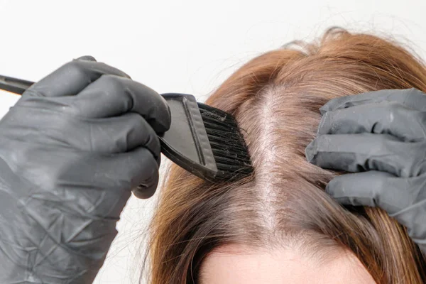 La coloración de las raíces grises de los cabello en casa. Procedimiento cosmético en casa. —  Fotos de Stock