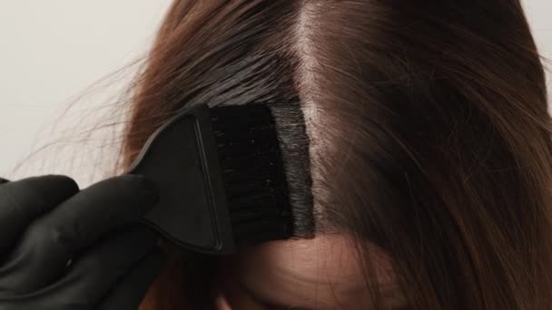 Жінка розмальовує коріння сірого волосся за допомогою пензлика. Поради фарбування волосся в домашніх умовах — стокове відео