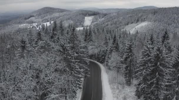 Panoramisch uitzicht op de brede weg, top van hoge pijnbomen en bergen bedekt met sneeuw in de winter. Bevroren hout. — Stockvideo