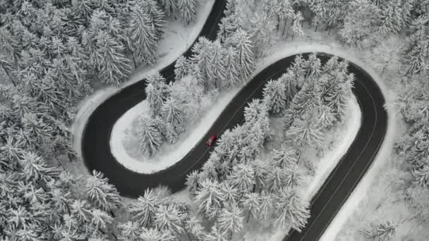 Légi kilátás a szerpentin alakú út mozgó autók a fagyott erdőben magas fenyőfák. — Stock videók
