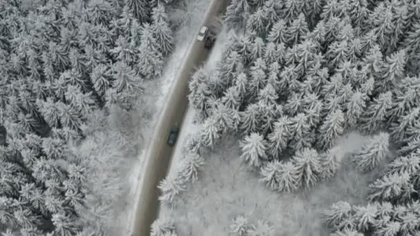 Aerial kilátás autók áthaladó fagyasztott és borított hófenyő vagy lucfenyő erdő télen. — Stock videók