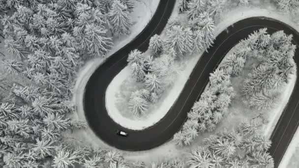 Вид зверху на машину, що рухається по пишній дорозі в замерзлому лісі з високими сосновими або ялиновими деревами, покритими снігом. S-подібна серпантинна дорога . — стокове відео
