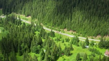 Ormanda yüksek köknar ağaçları olan dağlardaki otoyol manzarası.. 