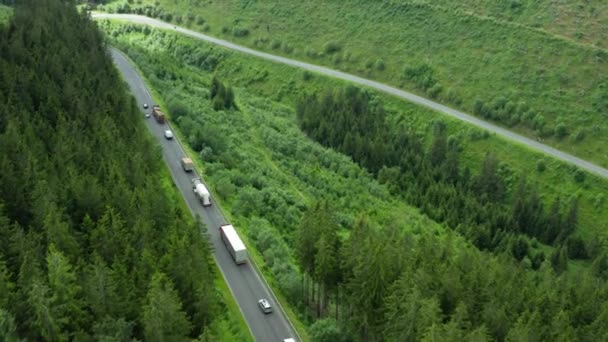 在高绿杉、树叶、松树或云杉树中驾驶汽车和卡车的空中景观. — 图库视频影像