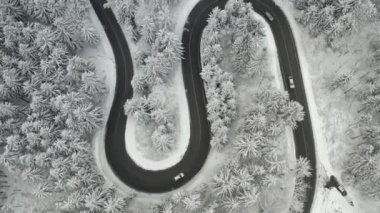 Yılanın yolu üzerindeki hava manzarası donmuş ormandaki yüksek köknar ağaçlarıyla hareket eden otomobillerle şekillenir..