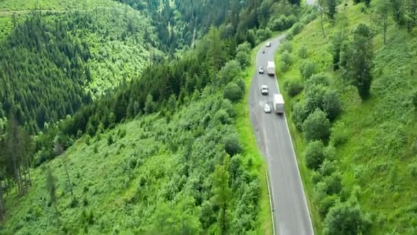 Letecký pohled na silnici s auty a kamionem v horách s vysokými zelenými jedlemi, listovníky, borovicemi nebo smrky. — Stock video