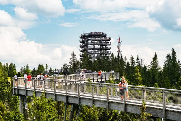 The Tree top walk and stairs in the Bachledova Valley. — Stock fotografie