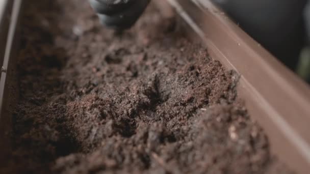 Fermier ou femme mains mettre des graines dans le sol ou moulu dans le pot. Plantation de plantes sur le concept de balcon. — Video