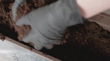 Kadınların ellerini kapat. Balkona bitki dikmek için toprak ya da toprak koy.. 