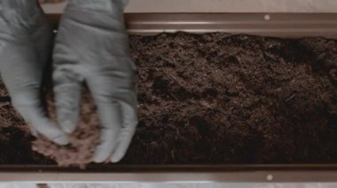 Kadınların ellerini kapat. Balkona bitki dikmek için toprak ya da toprak koy.. 