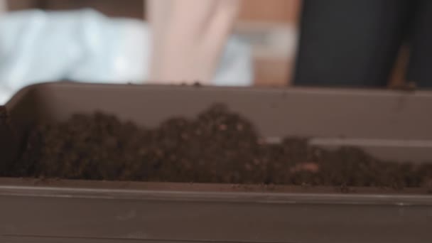 Cierre las manos de las mujeres poniendo tierra o tierra en la maceta para plantar plantas en el balcón. — Vídeo de stock