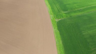 Baharda parlak yeşil arazinin havadan görünüşü. Yeni hasat
