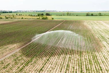 Suyun ekinleriyle yeşil bir tarlanın sulanması.