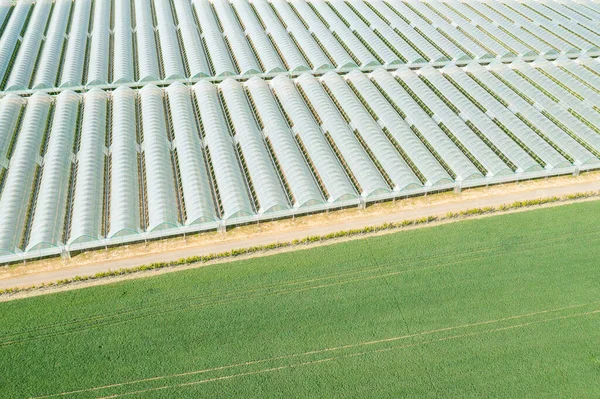 Greenhouses covered with film for planting vegetables in the fields. — Stock Photo, Image