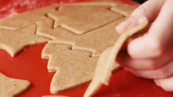 Výroba perníkových sušenek ve formě vánočního stromku a domu na červeném silikonovém rohožce. — Stock video