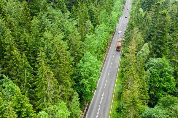 Vue aérienne de la route sinueuse dans la forêt — Photo