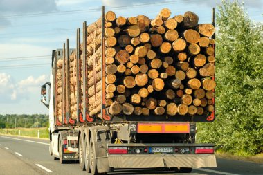 Bir kereste kamyonu otoyolda kütük taşır. Kereste taşımacılığı. Temmuz 2021, Çek Cumhuriyeti, Prag