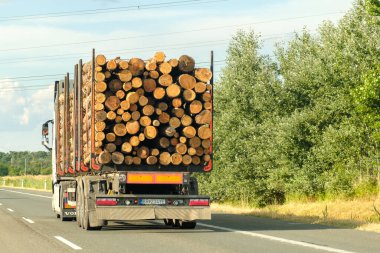 Bir kereste kamyonu otoyolda kütük taşır. Kereste taşımacılığı. Temmuz 2021, Çek Cumhuriyeti, Prag