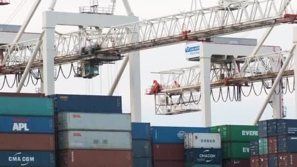 Memuat kontainer ke kapal dengan derek industri di pelabuhan. Sebuah kargo impor dan ekspor di pelabuhan. Agustus, 2021. Koper, Slovenia. — Stok Video