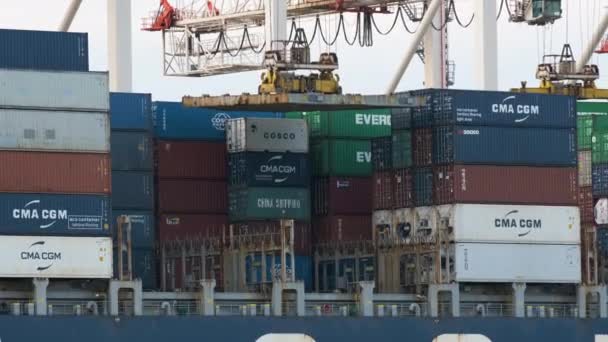 Laden container te verschepen door industriële kraan in de haven. Een in- en uitvoerlading in de zeehaven. Augustus, 2021. Koper, Slovenië. — Stockvideo