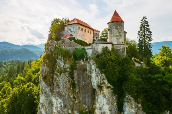 Vue aérienne du château médiéval de Bled sur la falaise de la montagne en Slovénie — Photo