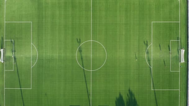 Вид сверху на футбольное поле, играющее в футбол на важном матче или чемпионате — стоковое видео
