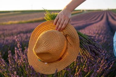 Lavanta tarlası, hasır şapka ve taze lavanta buketi içeren yaşam tarzı ve seyahat konsepti.