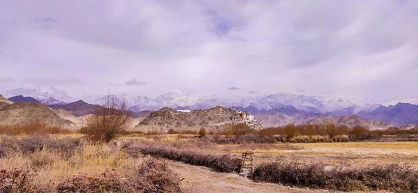 Προβολή Τοπίου Και Cityscape Του Leh Ladakh Village Himalaya Οροσειρά — Φωτογραφία Αρχείου