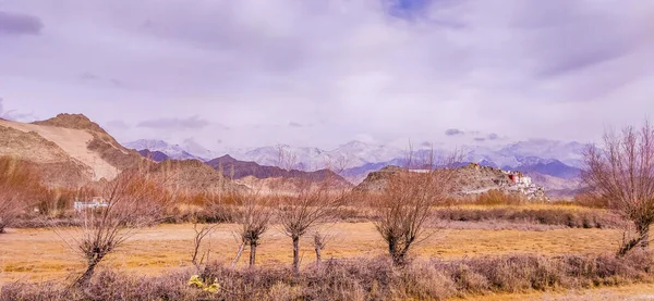 Pohled Krajinu Město Leh Ladakh Village Pohořím Himalája Pohledu Leh — Stock fotografie