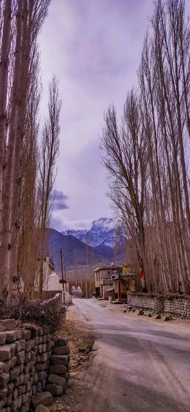 라다크 마을의 풍경과 그리고 히말라야 산맥이 인도의 잠무와 미르에서의 동안의 — 스톡 사진