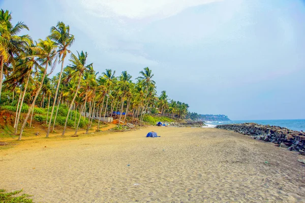 Pantai Dan Kelapa Menggantung Pohon Palem — Stok Foto