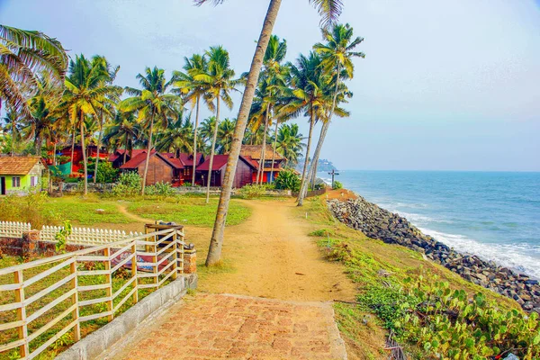 Praia Coco Pendurar Palmeiras — Fotografia de Stock