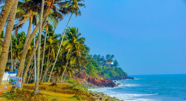 Praia Coco Pendurar Palmeiras — Fotografia de Stock