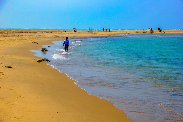 Playa Coco Cuelgan Palmeras — Foto de Stock