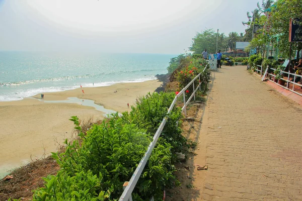 Praia Coco Pendurar Palmeiras — Fotografia de Stock