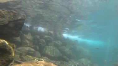 Göl ve Nehir manzarası