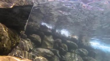 Göl ve Nehir manzarası