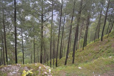 Manimahesh, Bharmour, Chamba, Himachal Pradesh, Hindistan 'a giden Güzel ve Tehlikeli Yol. 