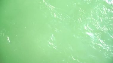 Bir haridwar 'da Ganga Nehri' ni flütlemek