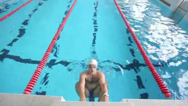 Commencer nageur dans la piscine — Video