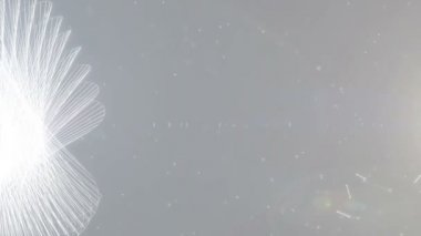 Arka beyaz en az plan