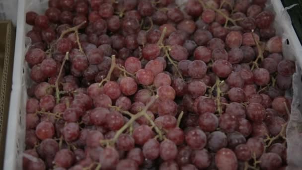 Uvas rojas en una tienda — Vídeos de Stock